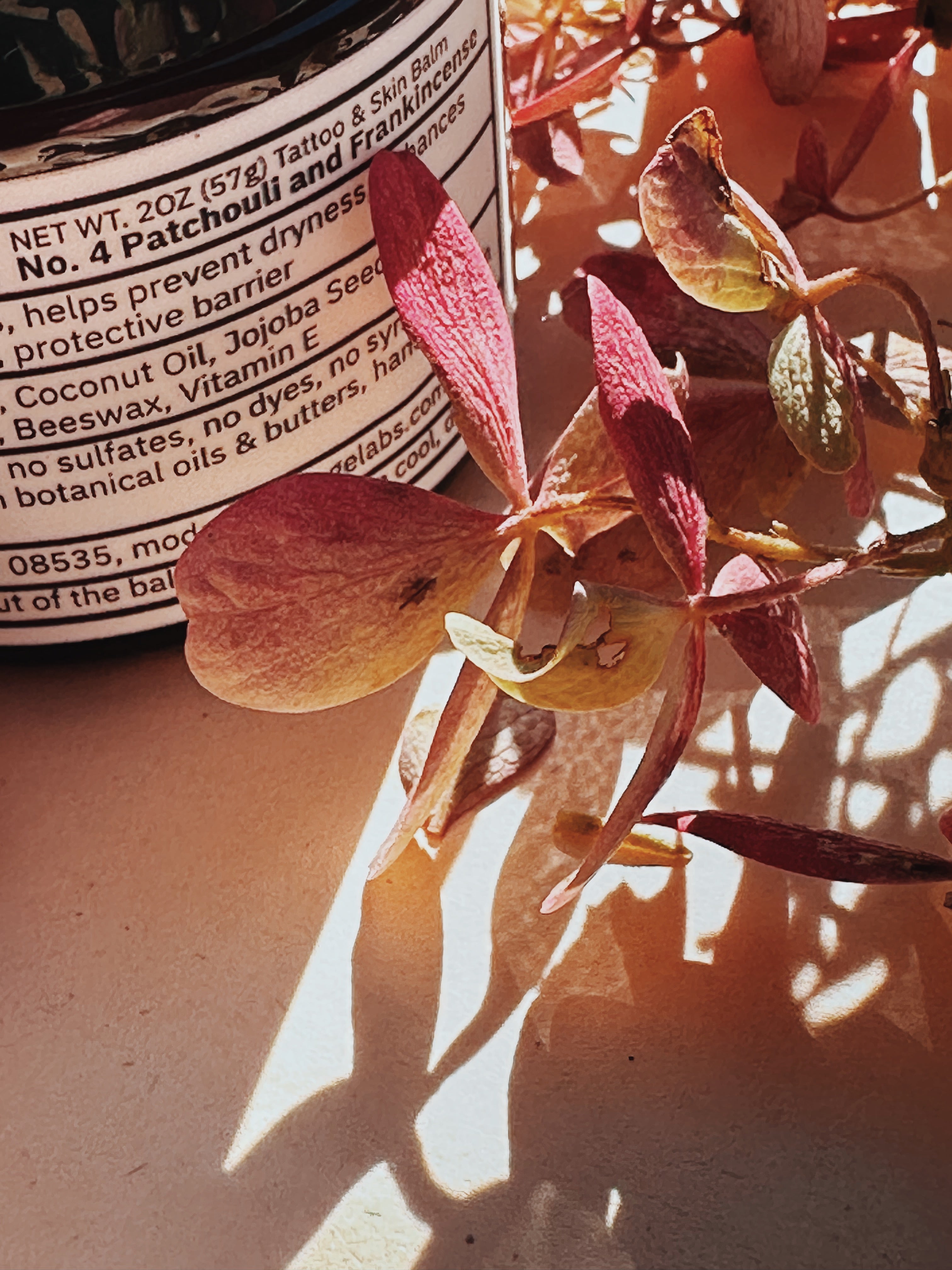Close view of the Modern Heritage tattoo balm label with dried flowers
